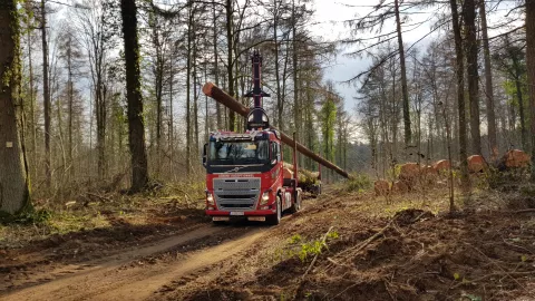 Bos- en landbouw