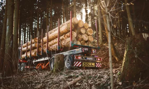 Houttransport DOLL Trailers en opleggers