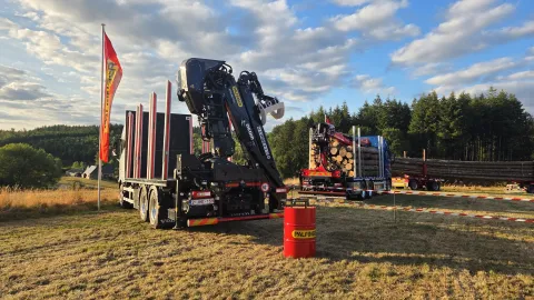 DEMO Forest 2026